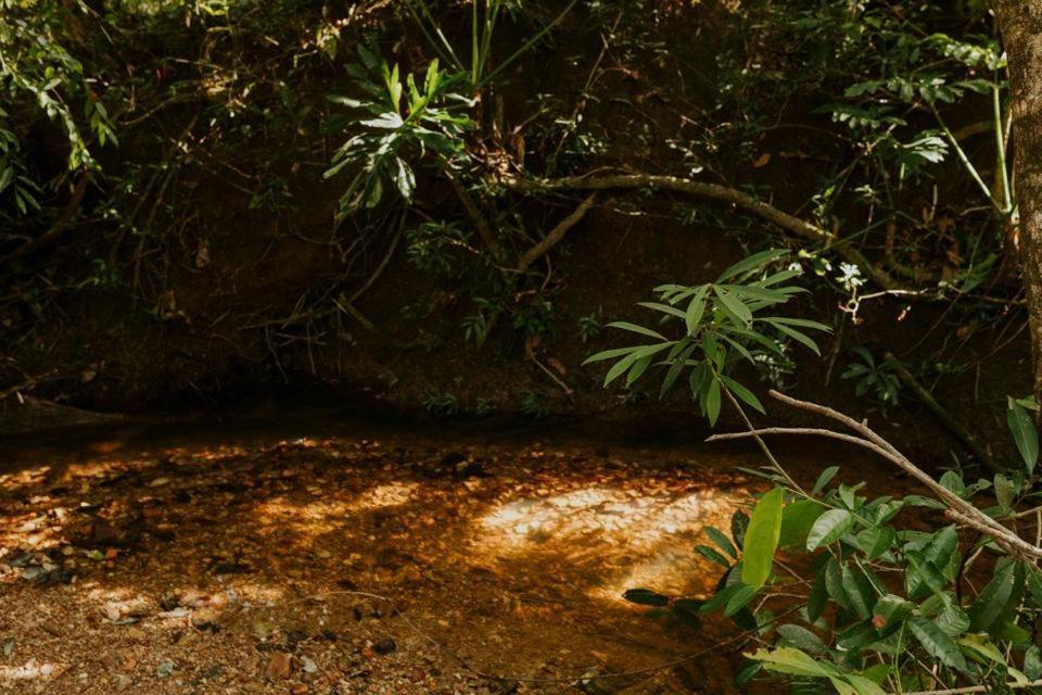 Eit Eco Inteligente Villa Alto Paraíso de Goiás Eksteriør billede